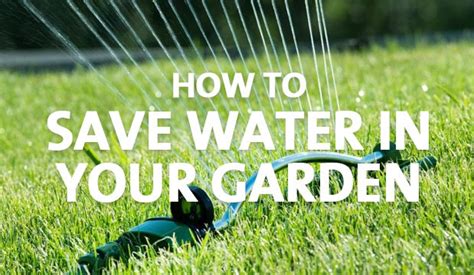 How To Save Water In Your Garden Palmers Garden Centre