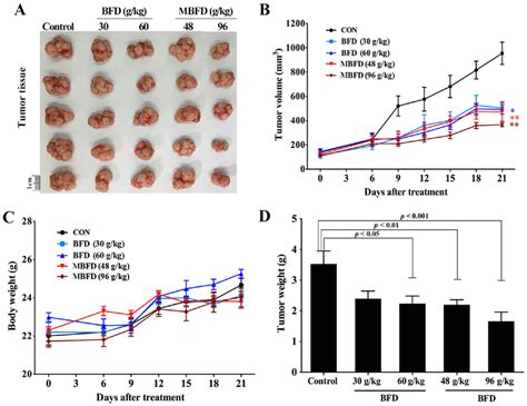 Bfd And Mbfd Suppress Tumor Growth In A Nude Mouse Xenograft Model A