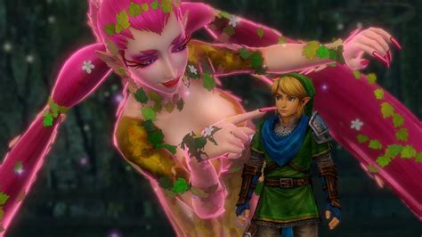 Hyrule Warriors Link Gameplay Great Fairy Youtube