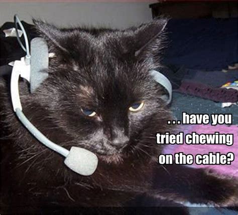 Kitteh Tech Support Funny Animal Memes Funny Animal Pictures Cats