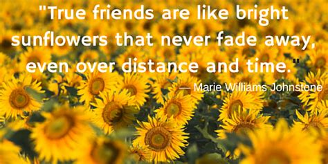 Enjoy this selection of quotes about sunflowers and friends. True friends are like bright sunflowers… | Dean W Knight
