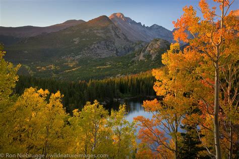 Bear Lake Rocky Mountain National Park Ron Niebrugge Photography