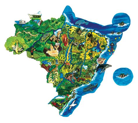 Sistema De InformaÇÃo Sobre Biodiversidade Brasileira Sibbr Igui