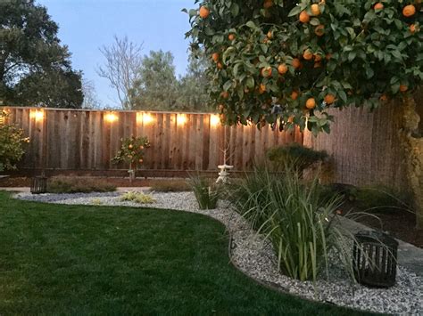 Pin By Lina Punches On Backyard Ideas Front Yard Landscaping