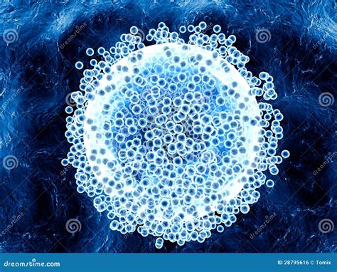 Blue Cells Stock Illustration Illustration Of Life Magnify 28795616