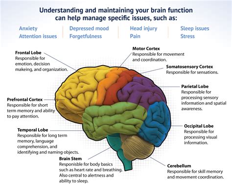 Cognitive Enhancer Agewell Brain Center