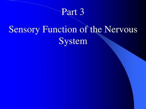 Ppt Part 3 Sensory Function Of The Nervous System Powerpoint Presentation Id9321937