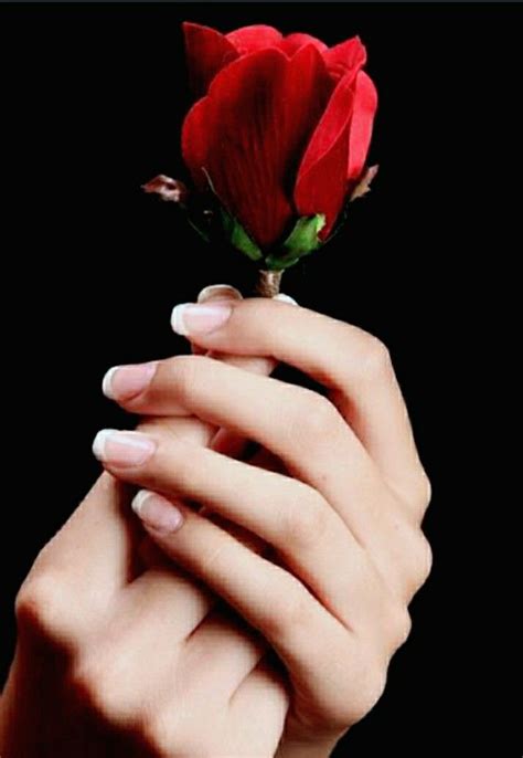 Pin By 𝑁𝑖𝑠ℎ𝑎𝑠 𝑊𝑜𝑟𝑙𝑑 On ♡ Flowers♡ Hands Holding Flowers Hand Photography Beautiful Roses