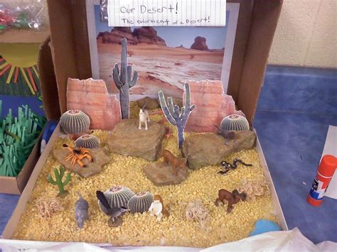 How To Make A Desert Shoebox Diorama Amanda Gregorys Coloring Pages