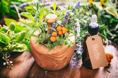 Essential Oils For Boils Your Ultimate Guide To Treating And