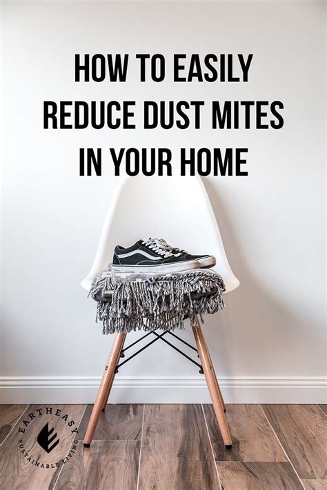 How To Easily Reduce Dust Mites In Your Home Dust Mites Mites Dust