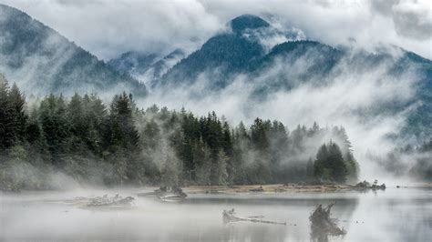 Mist Mountain Trees River 4k Wallpapers Hd Wallpapers