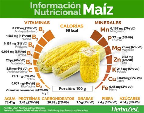 Ma Z Propiedades Beneficios Y Valor Nutricional Portal Del