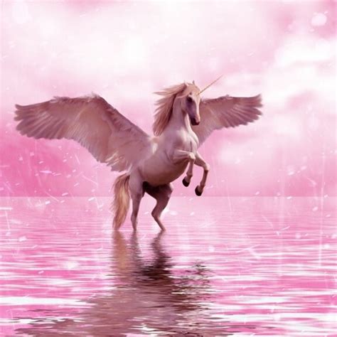 Winged Unicorn Magical Unicorn Life