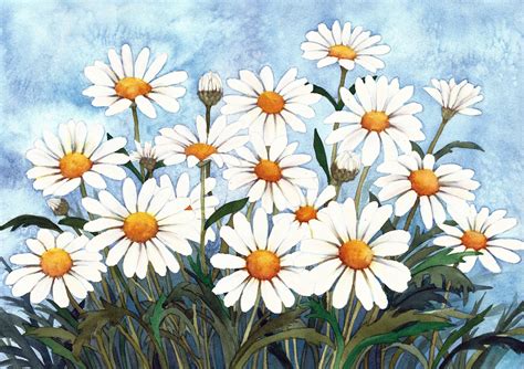 White Daisy Garden Watercolor Painting Reproduction By Wanda Zuchowski