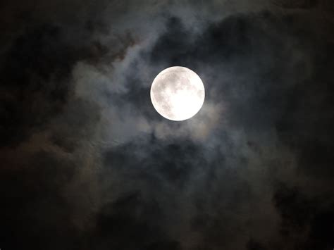 Moonlight Moon Spooky Cloudy Free Photo On Pixabay Pixabay
