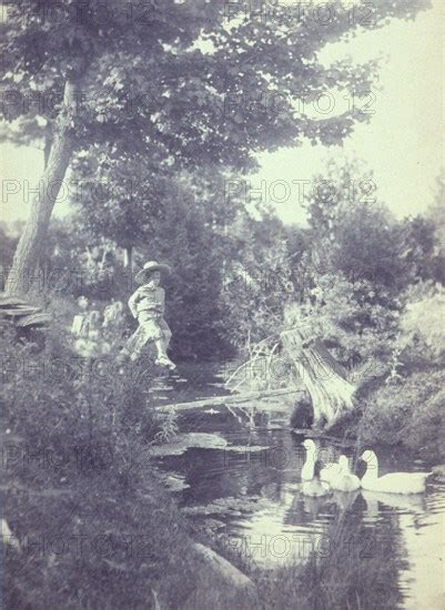 Rural Scene With A Young Boy Sitting On A Tree Stump Watching Ducks In