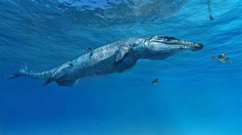 New Prehistoric Sea Monster Species Identified Uk News Sky News