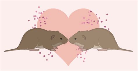 You Cant Spell ‘love Without ‘vole Neuwrite San Diego