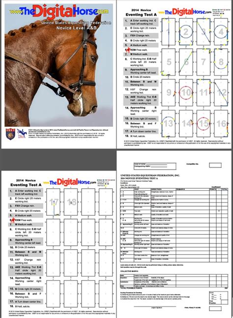 Novice Dressage Tests A And B Dressage Tests Dressage Horse Arena