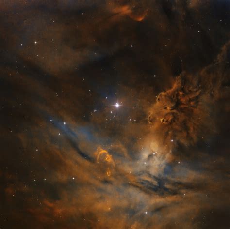 Ngc 2264 The Fox Fur Nebula Telescope Live