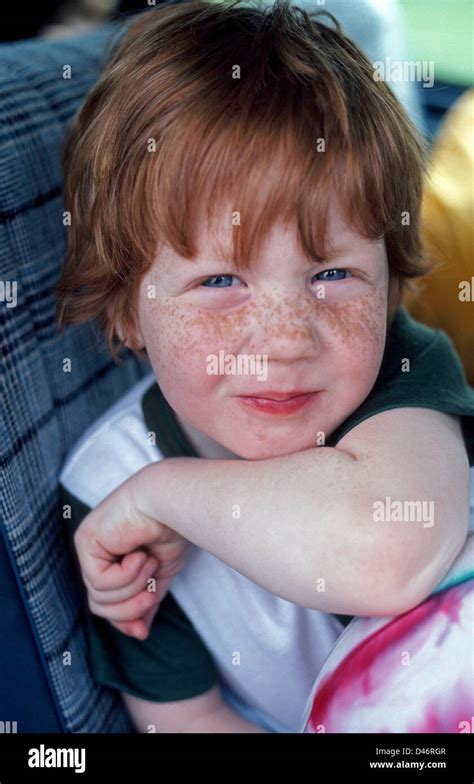 Young Boy With Freckle Stock Photo Image Of Freckle 246