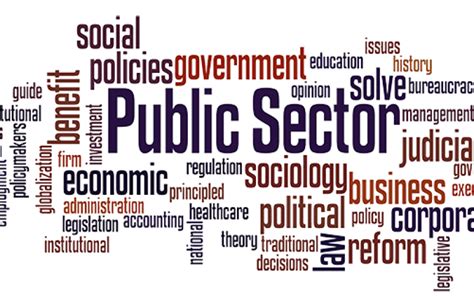 The public sector is as complex as it is diverse and it is not the same in any two countries; Ideas for J.D.-advantage careers in the public sector ...