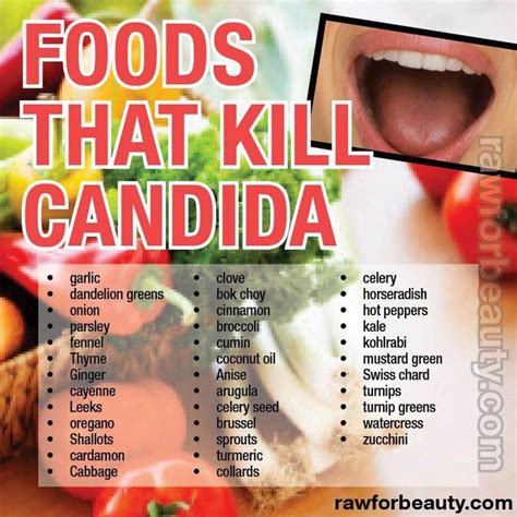 Foods That Kill Candida Candida Cleanse Candida Diet Recipes