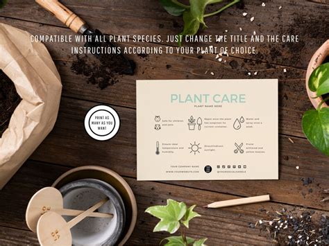 Plant Care Card Template Succulent Care Cards Plant Care Etsy