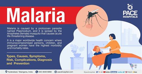 Malaria Symptoms Causes Types Complications And Prevention