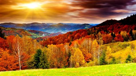 High Definition Fall Wallpapers Sf Wallpaper