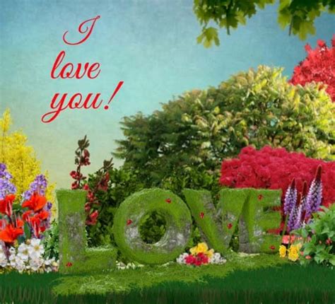 Love Garden Free I Love You Ecards Greeting Cards 123 Greetings