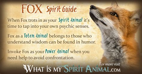 Fox Symbolism And Meaning Spirit Totem And Power Animal