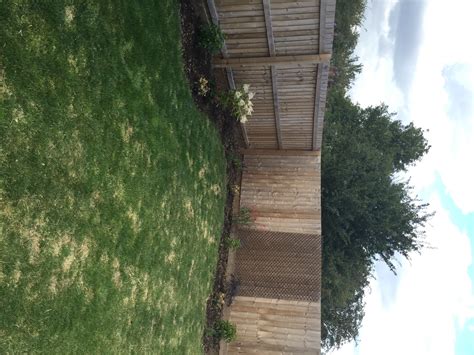 New Build Lawn White Patches Any Ideas — Bbc Gardeners World Magazine