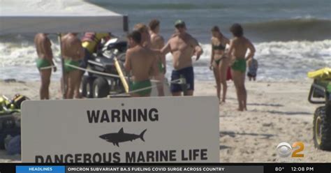 Shark Attack Victims Speaks Out About Encounter Cbs New York