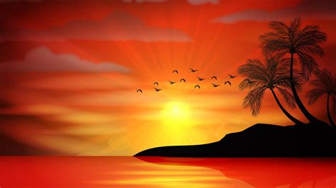 Wallpaper Sunset Palm Trees Island Sea Sunset Silhouette Vector