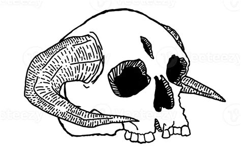 Demon Skull Line Art With Transparent Background 24034325 Png