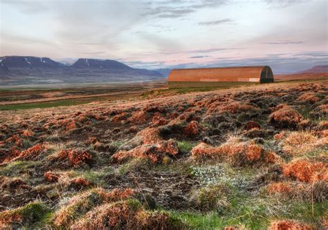 Red Fields On The Tundra Across The Middle Of Iceland The Flickr