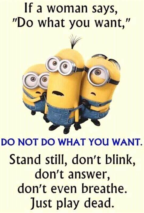 Haha Yes Thats What They Actually Mean Funny Quotes Funny Minion