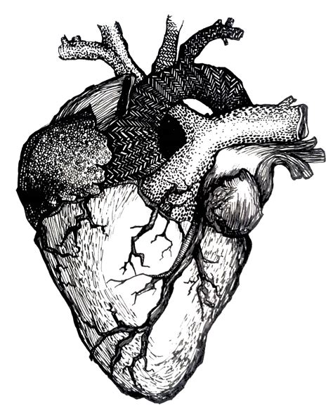 Drawing Of Heart
