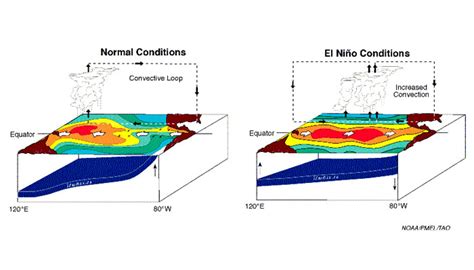 Ocean Why Does The El Niño Stop Earth Science Stack Exchange