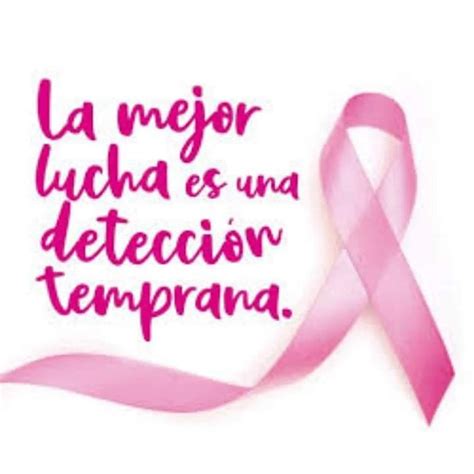 cdch ucv cdch ucv octubre mes dedicado a la lucha contra el cáncer de mama