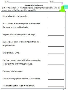 Start studying human body 11th grade #1. Human Body Organ Systems - Worksheets for Grade 3 and 4 ...
