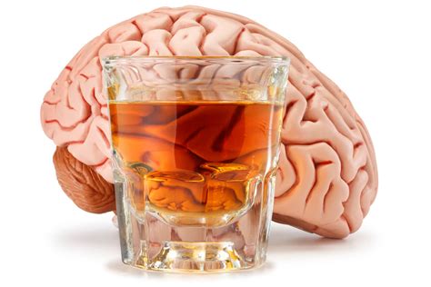 Alcohol Use After Brain Injury San Diego Brain Injury Foundation