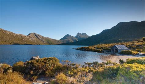 5 Ways To Hit Refresh At Cradle Mountain Travel Insider