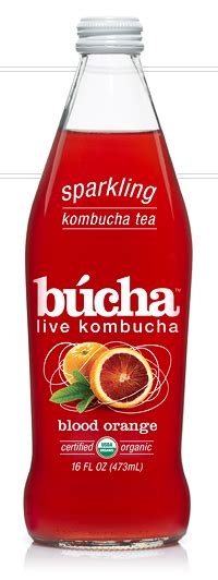 Bucha Kombucha Best Stuff Ever Review Shespeaks