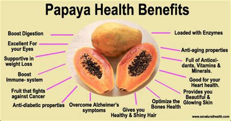 Why Papaya Is Good For Health Benefits And Side Effects Eznaturalhealth