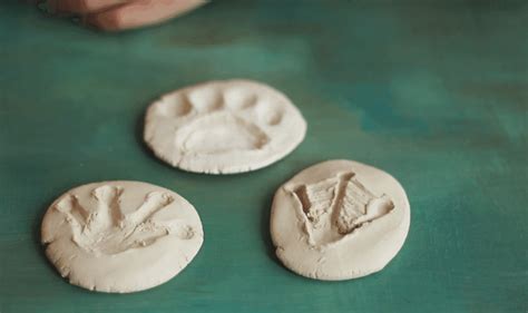 Create Clay Animal Tracks Crafts For Kids Pbs Kids For Parents