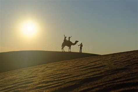Paseo Del Camello En El Desierto Imagen De Archivo Imagen De Cubo
