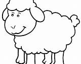 Sheep Coloring Cartoon Printable Preschool Getdrawings Getcolorings sketch template